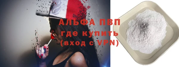 гашик Коряжма