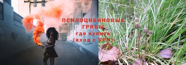 apvp Корсаков